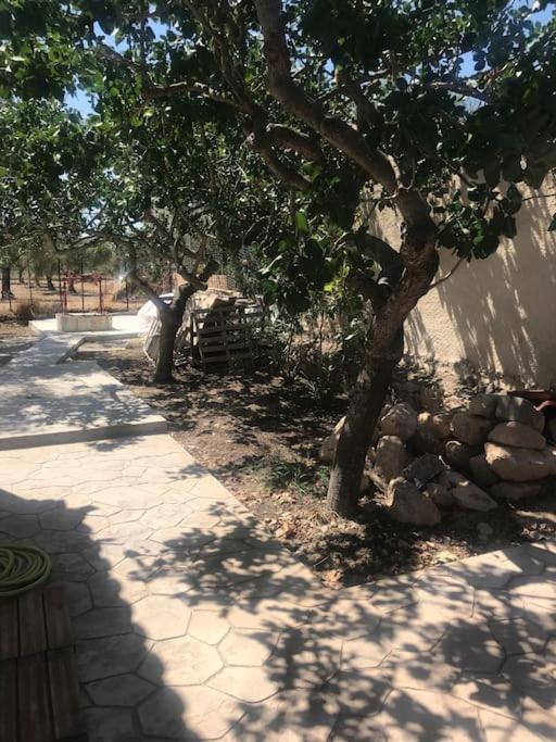 Πέτρινη Κατοικία Στην Αίγινα - Stone House In Aigina Khloi 外观 照片